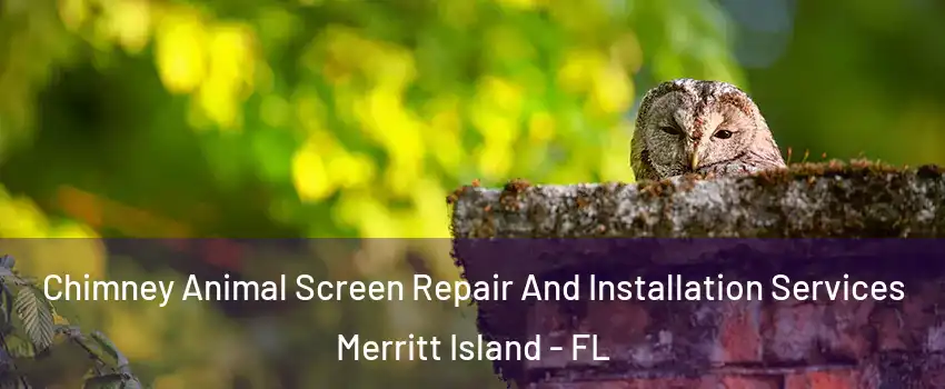  Chimney Animal Screen Repair And Installation Services Merritt Island - FL