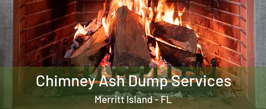  Chimney Ash Dump Services Merritt Island - FL
