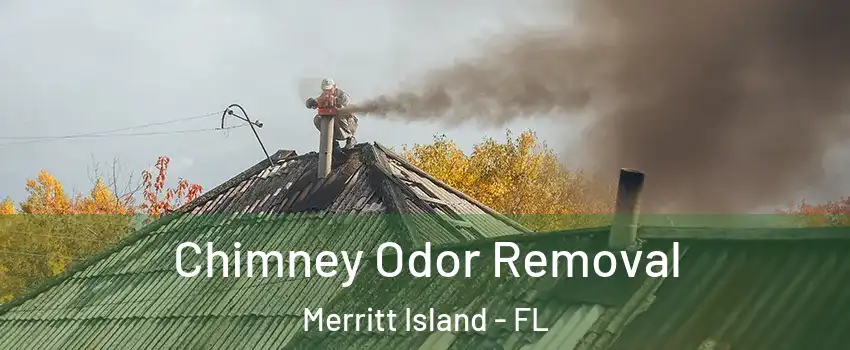  Chimney Odor Removal Merritt Island - FL