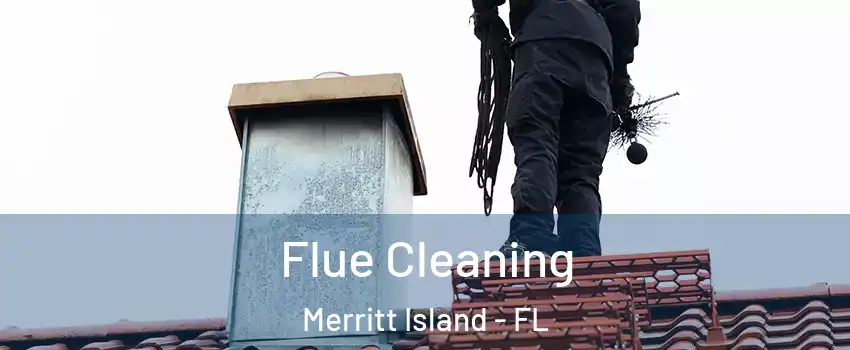  Flue Cleaning Merritt Island - FL