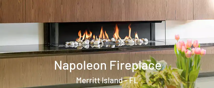  Napoleon Fireplace Merritt Island - FL